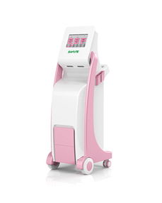 產(chǎn)后康復(fù)綜合治療儀 鄭州賽福特醫(yī)療設(shè)備代理加盟 招商代理 東方醫(yī)療器械網(wǎng)